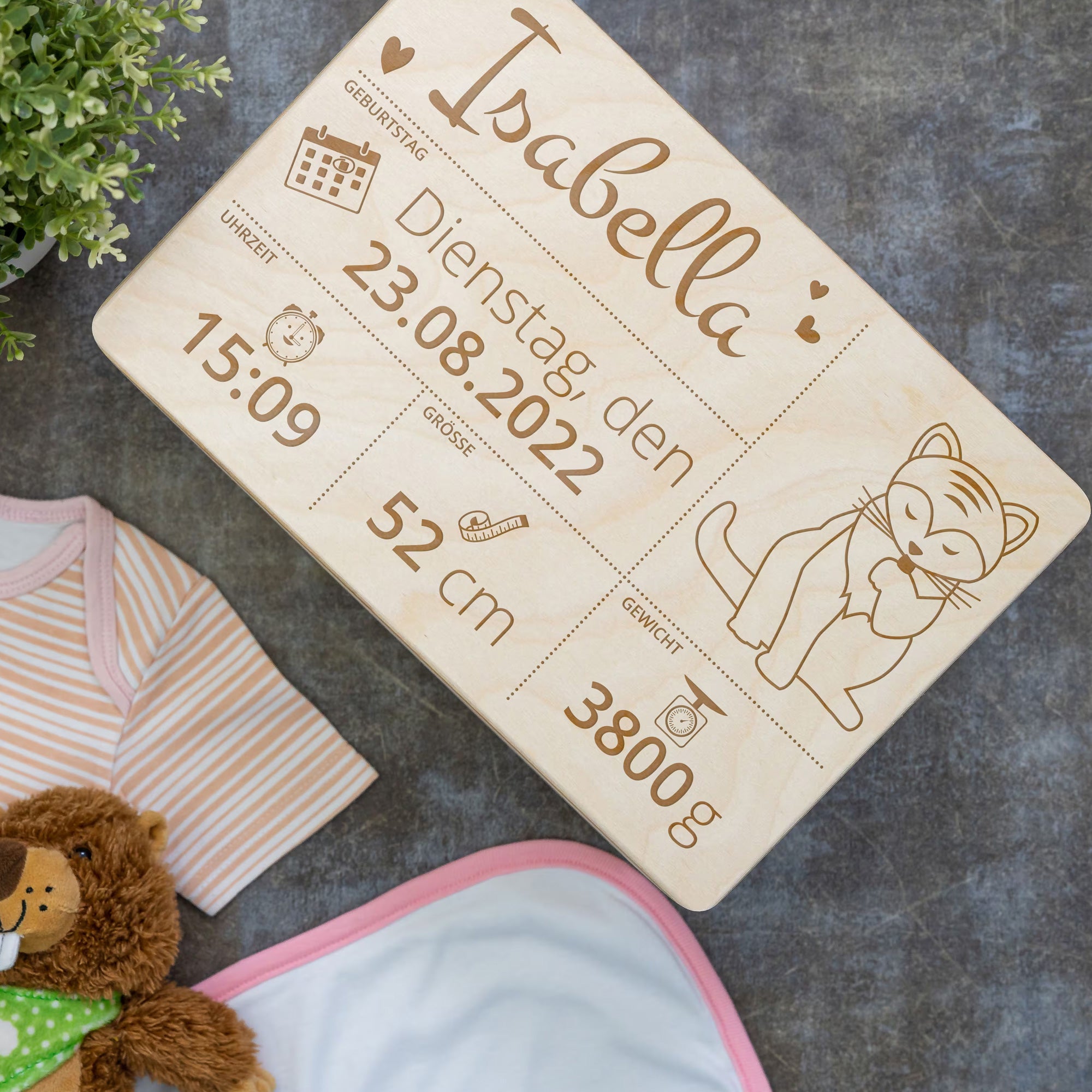 Bâtonnets de glace en bois, étiquettes de plantes, bâtons de bricolage avec gravure personnalisée (10 pièces)