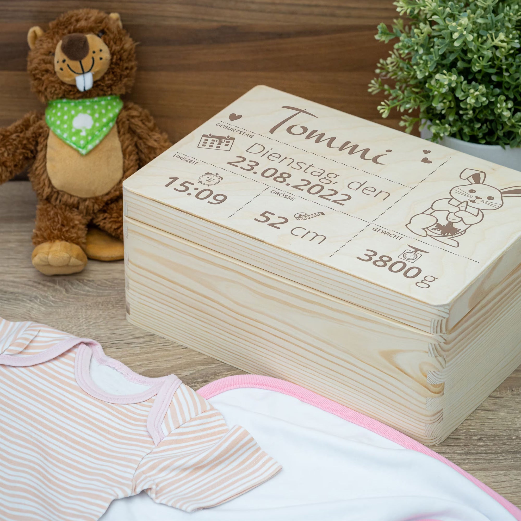 Bâtonnets de glace en bois, étiquettes de plantes, bâtons de bricolage avec gravure personnalisée (10 pièces)