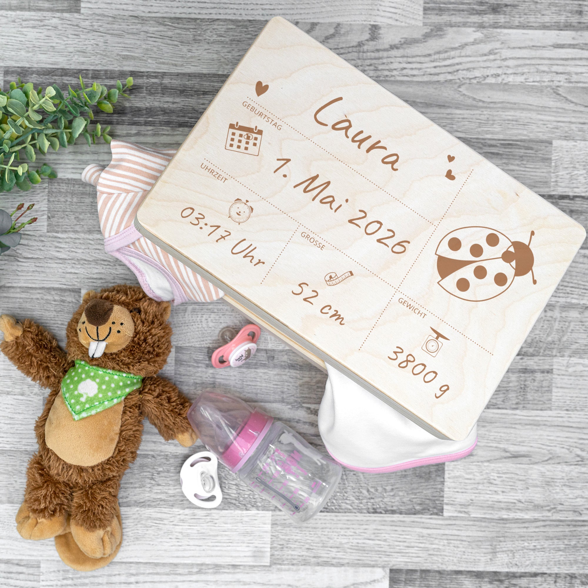 Wooden popsicle sticks, plant labels, craft sticks with custom engraving (10 pieces)